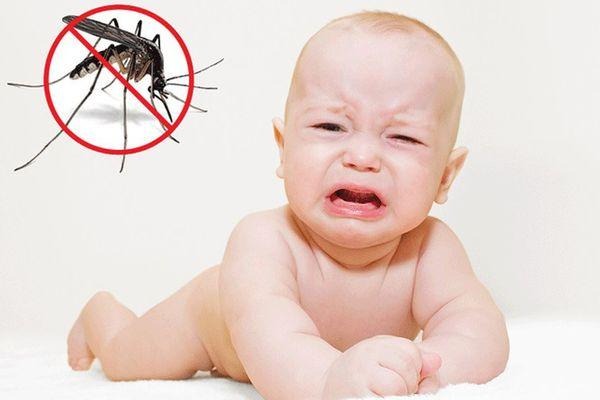Bé bị muỗi đốt sưng to bôi gì nhanh khỏi? HỌC NGAY 14 cách này!